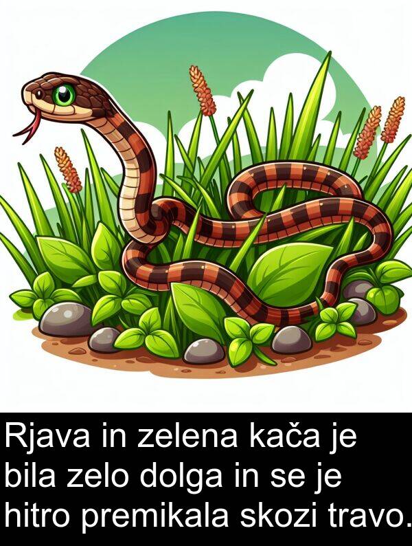 hitro: Rjava in zelena kača je bila zelo dolga in se je hitro premikala skozi travo.