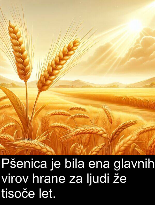 ena: Pšenica je bila ena glavnih virov hrane za ljudi že tisoče let.