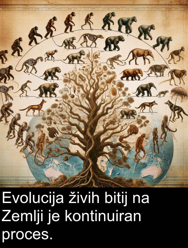 živih: Evolucija živih bitij na Zemlji je kontinuiran proces.