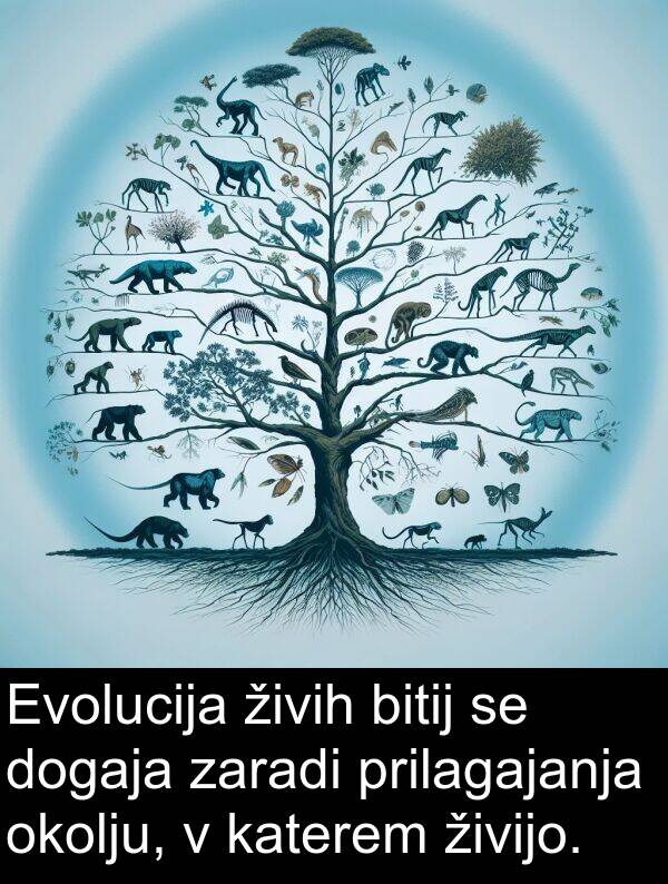 živijo: Evolucija živih bitij se dogaja zaradi prilagajanja okolju, v katerem živijo.