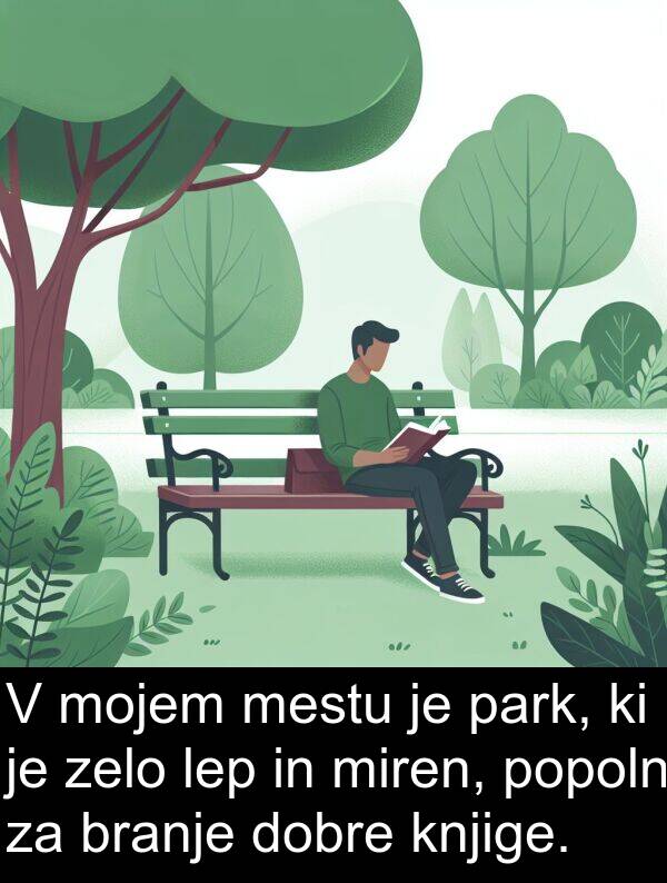 park: V mojem mestu je park, ki je zelo lep in miren, popoln za branje dobre knjige.