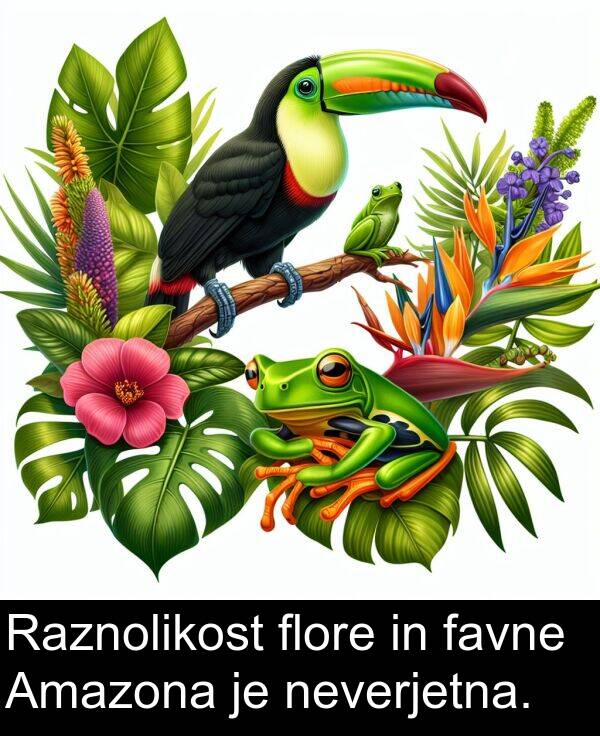 neverjetna: Raznolikost flore in favne Amazona je neverjetna.