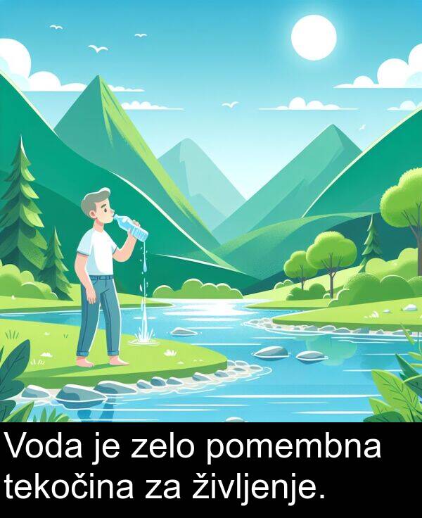 življenje: Voda je zelo pomembna tekočina za življenje.