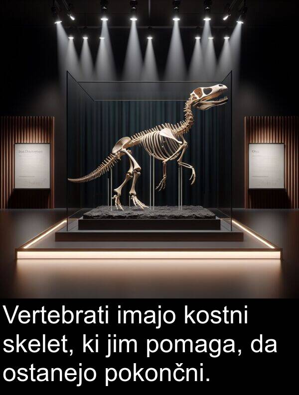 jim: Vertebrati imajo kostni skelet, ki jim pomaga, da ostanejo pokončni.