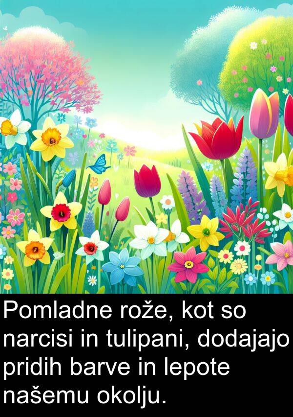 pridih: Pomladne rože, kot so narcisi in tulipani, dodajajo pridih barve in lepote našemu okolju.