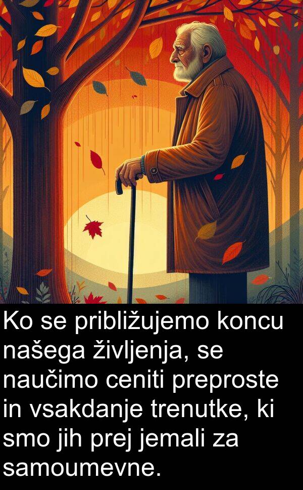 ceniti: Ko se približujemo koncu našega življenja, se naučimo ceniti preproste in vsakdanje trenutke, ki smo jih prej jemali za samoumevne.