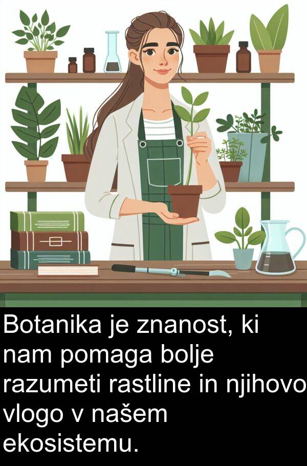 rastline: Botanika je znanost, ki nam pomaga bolje razumeti rastline in njihovo vlogo v našem ekosistemu.