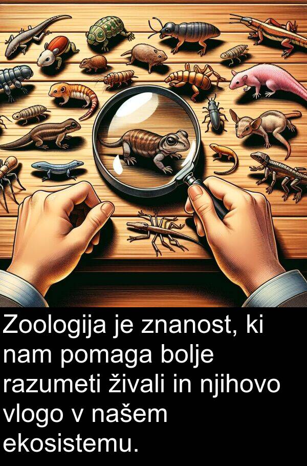 živali: Zoologija je znanost, ki nam pomaga bolje razumeti živali in njihovo vlogo v našem ekosistemu.