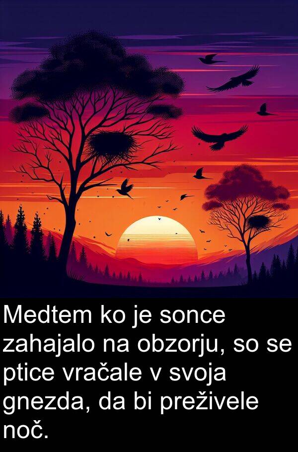 svoja: Medtem ko je sonce zahajalo na obzorju, so se ptice vračale v svoja gnezda, da bi preživele noč.