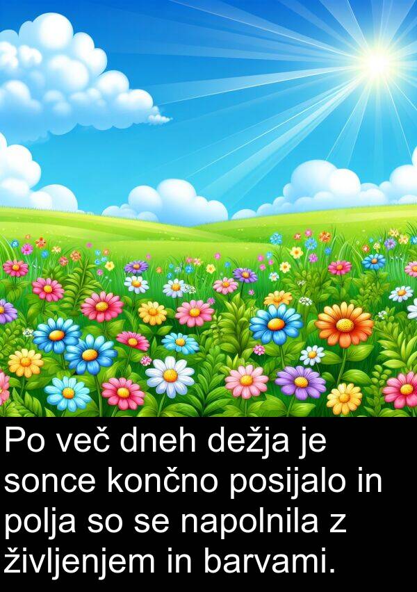 več: Po več dneh dežja je sonce končno posijalo in polja so se napolnila z življenjem in barvami.