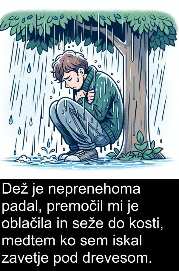 iskal: Dež je neprenehoma padal, premočil mi je oblačila in seže do kosti, medtem ko sem iskal zavetje pod drevesom.