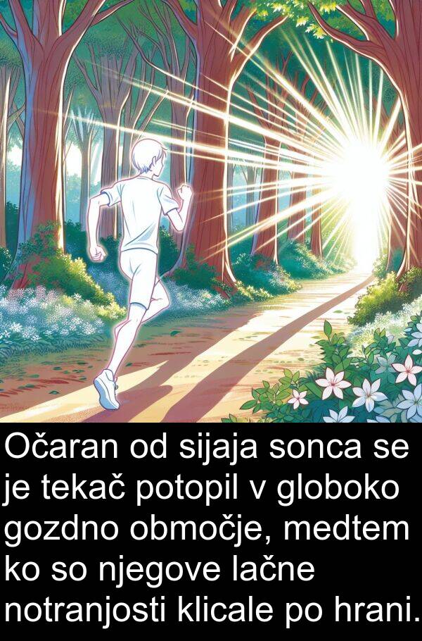 lačne: Očaran od sijaja sonca se je tekač potopil v globoko gozdno območje, medtem ko so njegove lačne notranjosti klicale po hrani.