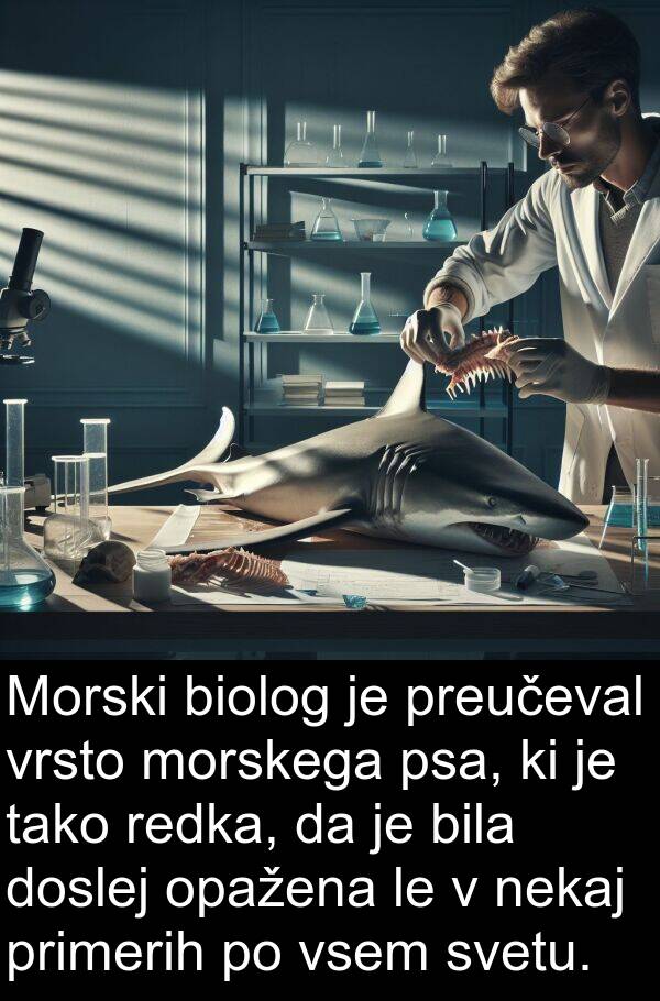 primerih: Morski biolog je preučeval vrsto morskega psa, ki je tako redka, da je bila doslej opažena le v nekaj primerih po vsem svetu.