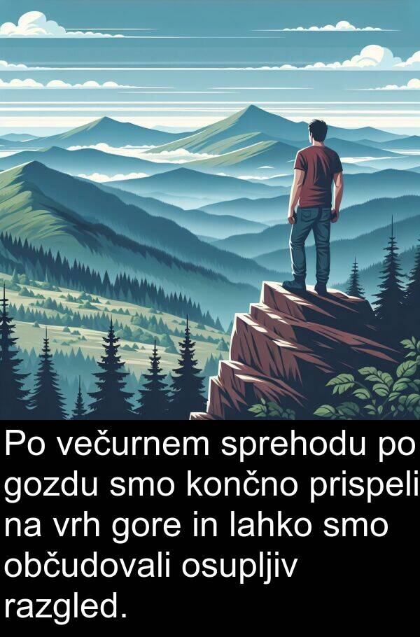 razgled: Po večurnem sprehodu po gozdu smo končno prispeli na vrh gore in lahko smo občudovali osupljiv razgled.