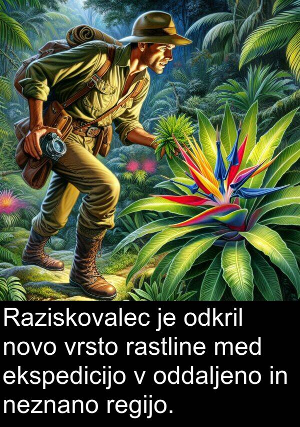 rastline: Raziskovalec je odkril novo vrsto rastline med ekspedicijo v oddaljeno in neznano regijo.