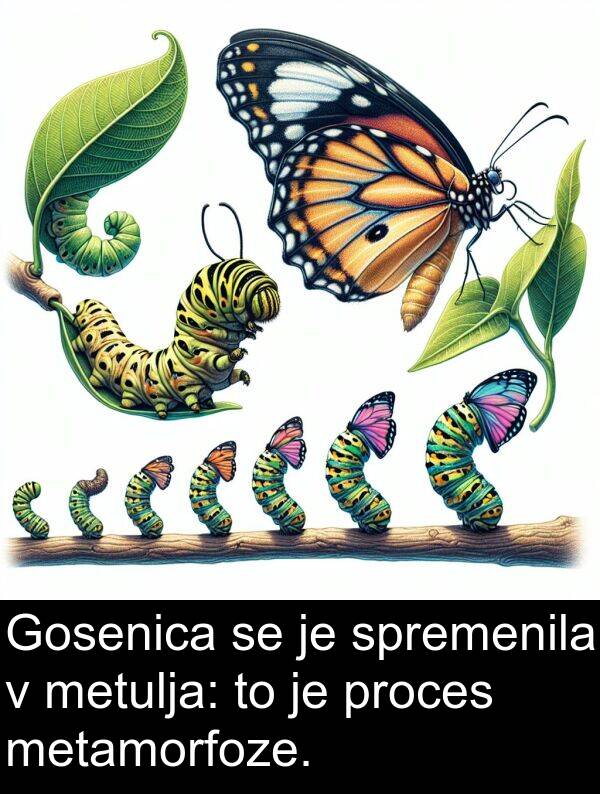 spremenila: Gosenica se je spremenila v metulja: to je proces metamorfoze.