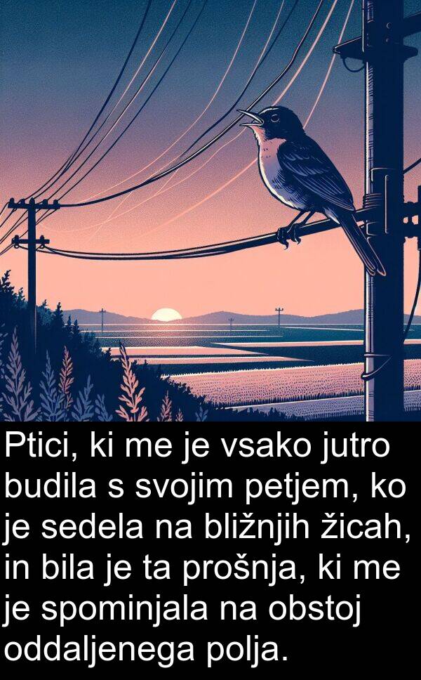 sedela: Ptici, ki me je vsako jutro budila s svojim petjem, ko je sedela na bližnjih žicah, in bila je ta prošnja, ki me je spominjala na obstoj oddaljenega polja.