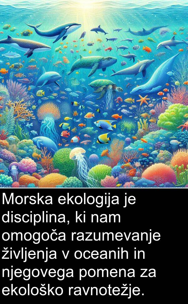 ravnotežje: Morska ekologija je disciplina, ki nam omogoča razumevanje življenja v oceanih in njegovega pomena za ekološko ravnotežje.