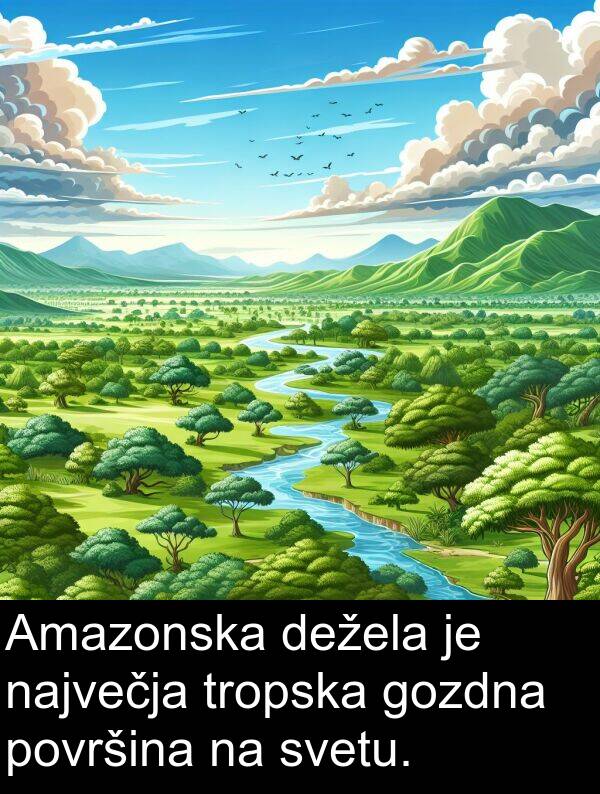 največja: Amazonska dežela je največja tropska gozdna površina na svetu.