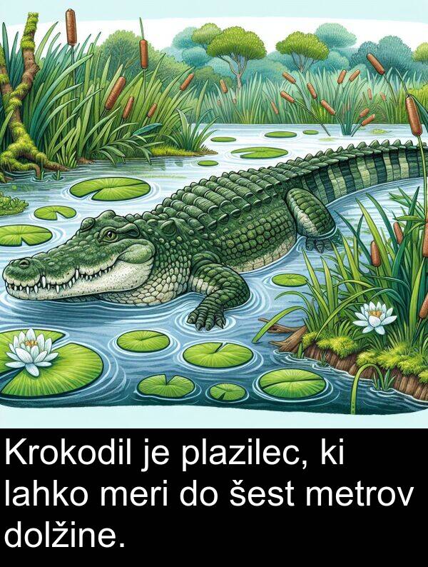 lahko: Krokodil je plazilec, ki lahko meri do šest metrov dolžine.