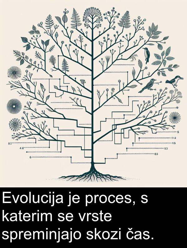 katerim: Evolucija je proces, s katerim se vrste spreminjajo skozi čas.