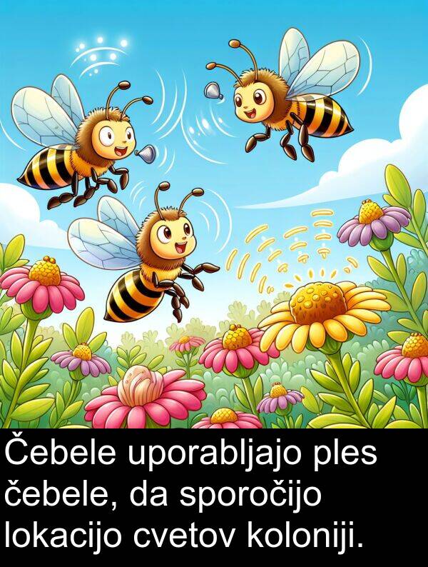 cvetov: Čebele uporabljajo ples čebele, da sporočijo lokacijo cvetov koloniji.