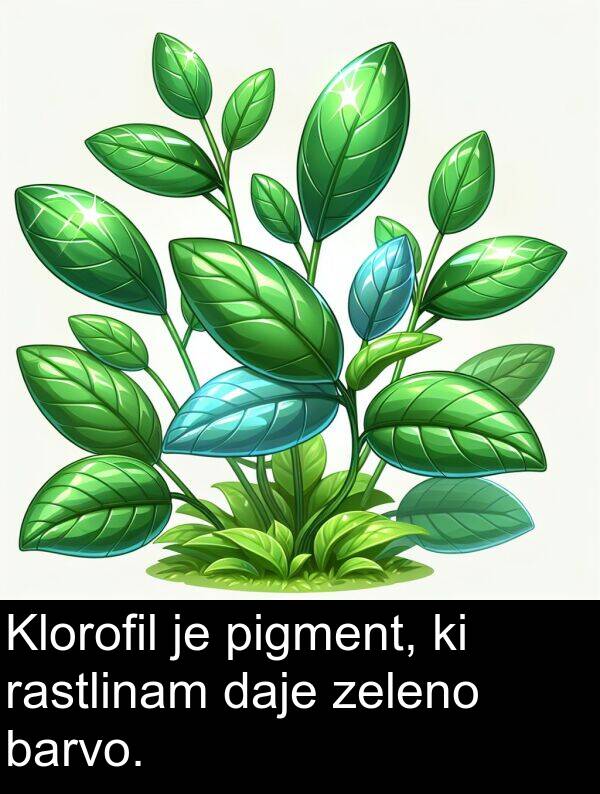 pigment: Klorofil je pigment, ki rastlinam daje zeleno barvo.