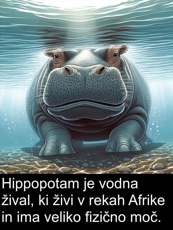 fizično: Hippopotam je vodna žival, ki živi v rekah Afrike in ima veliko fizično moč.