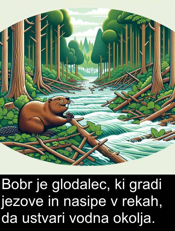 gradi: Bobr je glodalec, ki gradi jezove in nasipe v rekah, da ustvari vodna okolja.