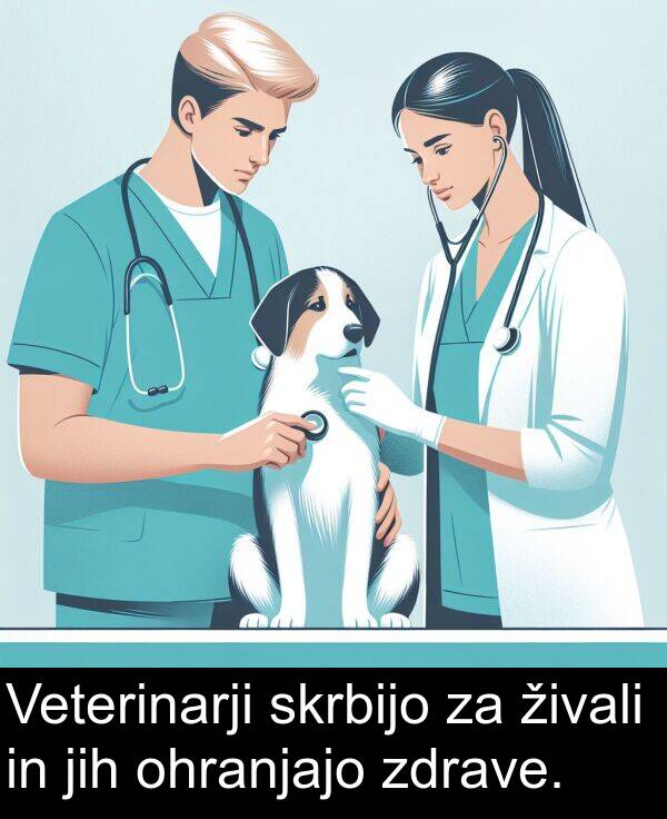 živali: Veterinarji skrbijo za živali in jih ohranjajo zdrave.