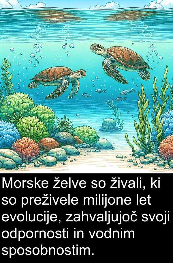 evolucije: Morske želve so živali, ki so preživele milijone let evolucije, zahvaljujoč svoji odpornosti in vodnim sposobnostim.