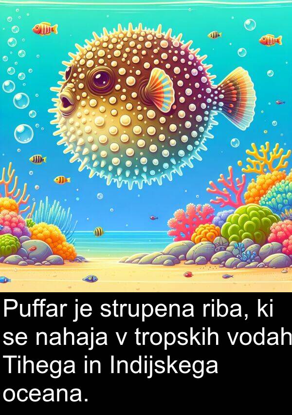 nahaja: Puffar je strupena riba, ki se nahaja v tropskih vodah Tihega in Indijskega oceana.