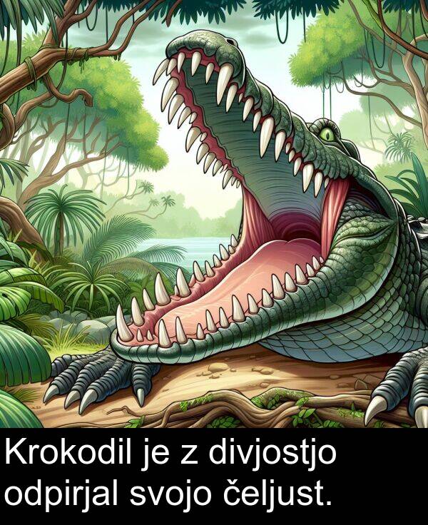 čeljust: Krokodil je z divjostjo odpirjal svojo čeljust.