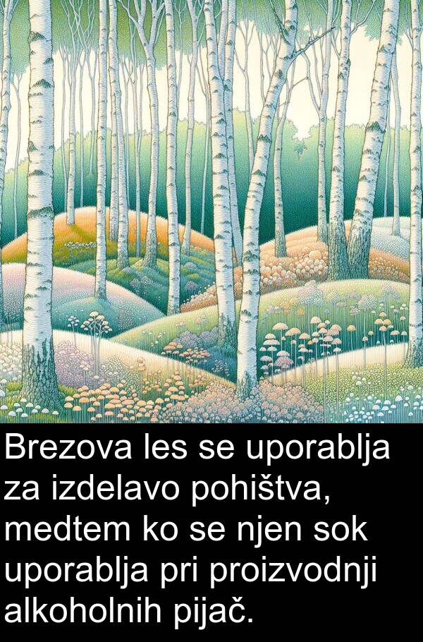 les: Brezova les se uporablja za izdelavo pohištva, medtem ko se njen sok uporablja pri proizvodnji alkoholnih pijač.