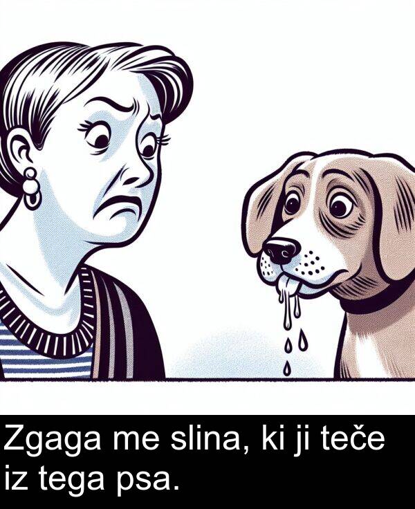 teče: Zgaga me slina, ki ji teče iz tega psa.