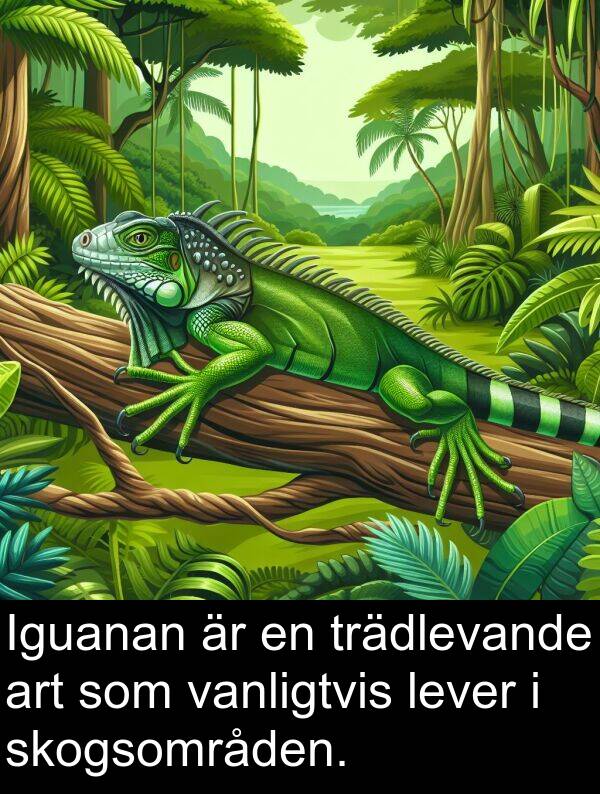 skogsområden: Iguanan är en trädlevande art som vanligtvis lever i skogsområden.