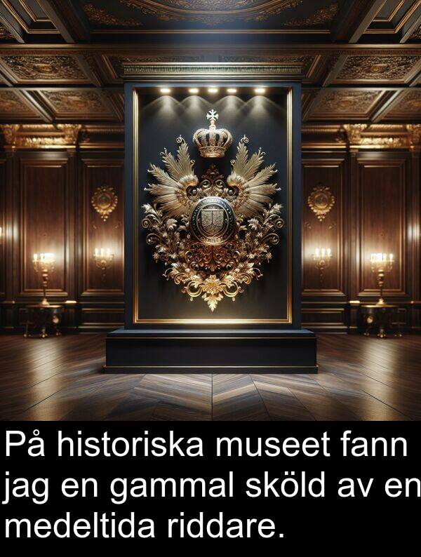 gammal: På historiska museet fann jag en gammal sköld av en medeltida riddare.