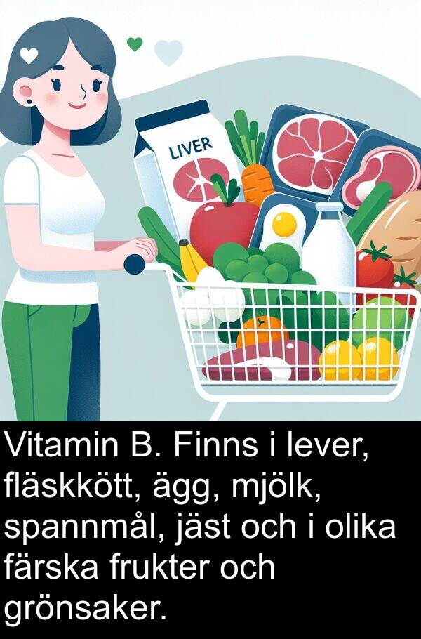 olika: Vitamin B. Finns i lever, fläskkött, ägg, mjölk, spannmål, jäst och i olika färska frukter och grönsaker.