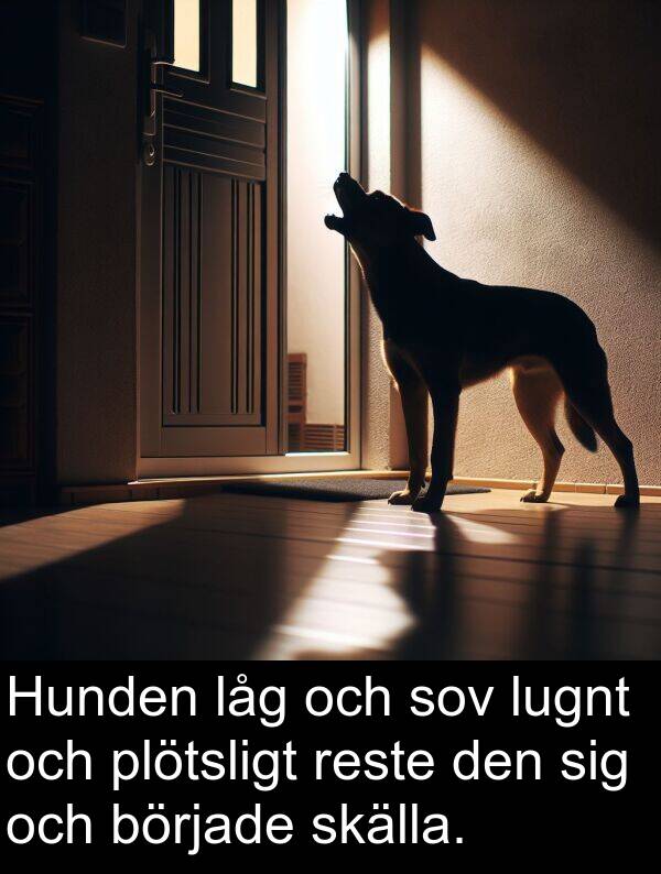 låg: Hunden låg och sov lugnt och plötsligt reste den sig och började skälla.