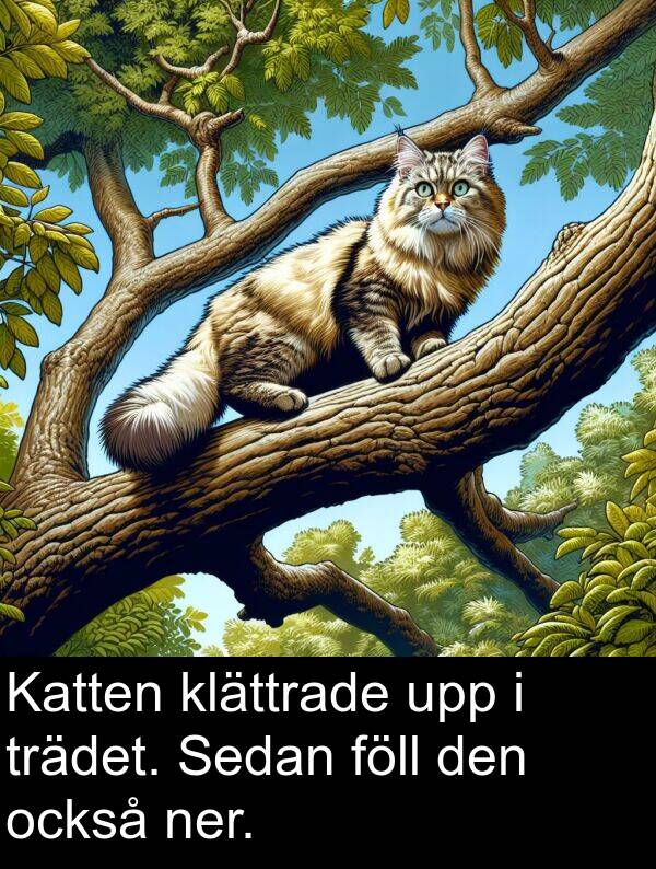 också: Katten klättrade upp i trädet. Sedan föll den också ner.