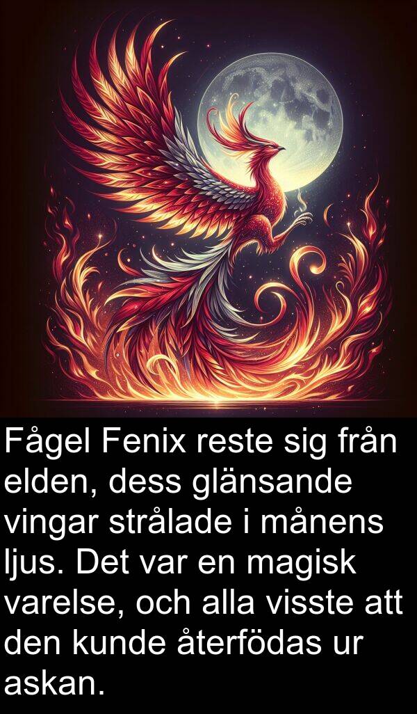 månens: Fågel Fenix reste sig från elden, dess glänsande vingar strålade i månens ljus. Det var en magisk varelse, och alla visste att den kunde återfödas ur askan.