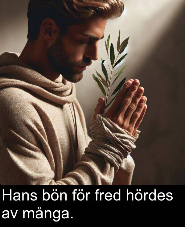 många: Hans bön för fred hördes av många.