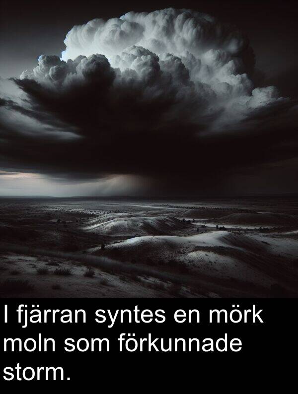 storm: I fjärran syntes en mörk moln som förkunnade storm.