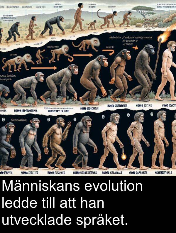 han: Människans evolution ledde till att han utvecklade språket.