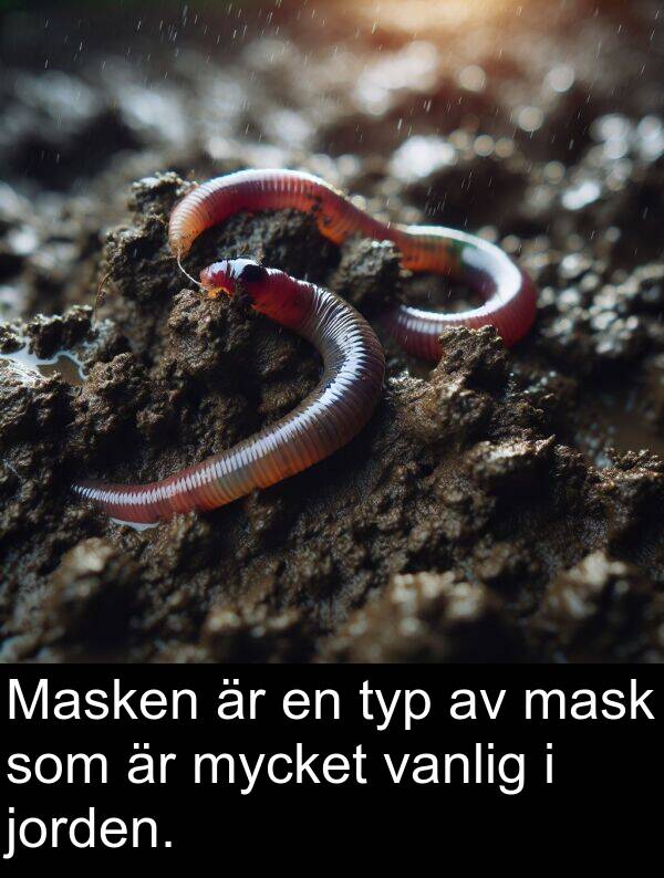 jorden: Masken är en typ av mask som är mycket vanlig i jorden.