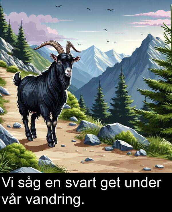 såg: Vi såg en svart get under vår vandring.