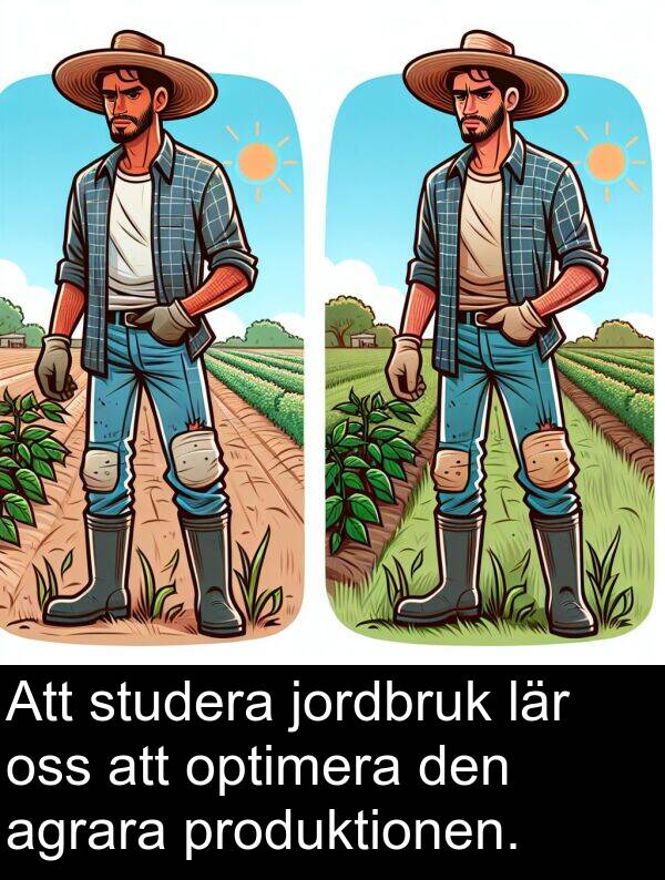 agrara: Att studera jordbruk lär oss att optimera den agrara produktionen.