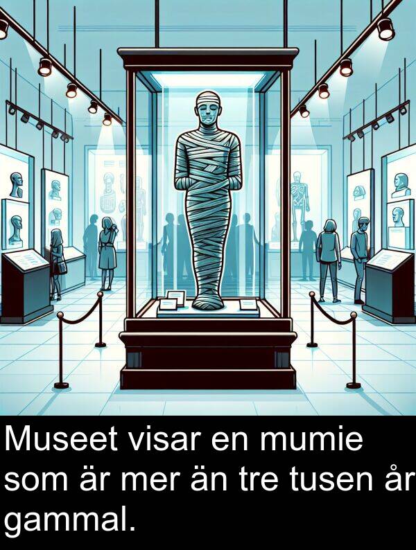 gammal: Museet visar en mumie som är mer än tre tusen år gammal.