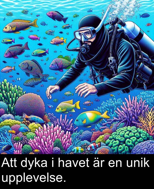 unik: Att dyka i havet är en unik upplevelse.