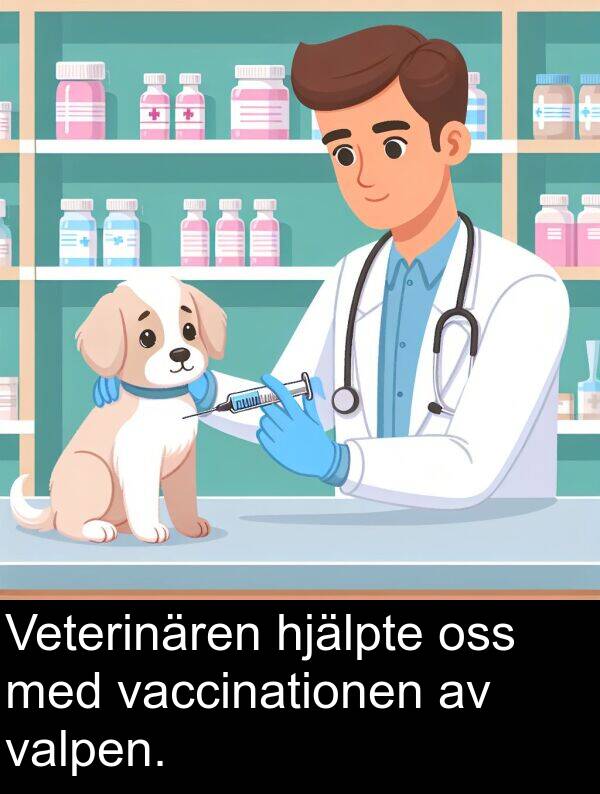 vaccinationen: Veterinären hjälpte oss med vaccinationen av valpen.